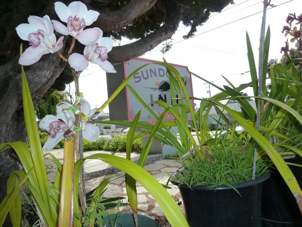 Sundown Inn Of Morro Bay Extérieur photo